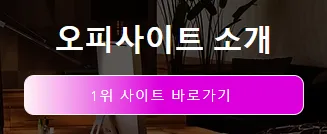 오피가이드 1