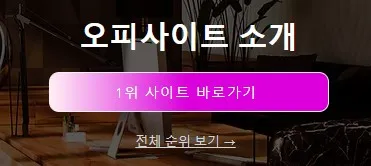 오피가이드 1